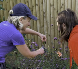 Beginners gardening course with Jenny Samuels