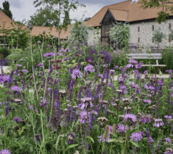 prairie garden planting style