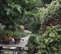 Small garden design course