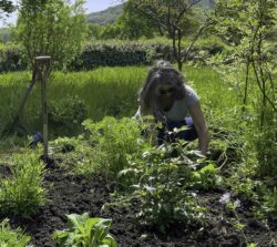 Preparing Flower Bed Beginners Gardening course
