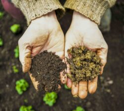 digging and holding clay soil 