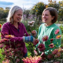 Professional gardener teaching pruning techniques