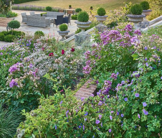 colourful garden planting scheme